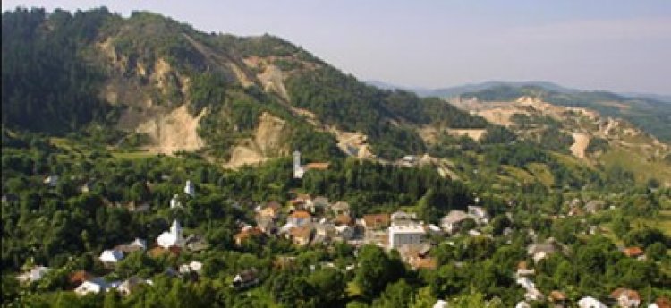 Guvernul alternativ al PDL cere retragerea din Parlament a proiectului privind Roşia Montană